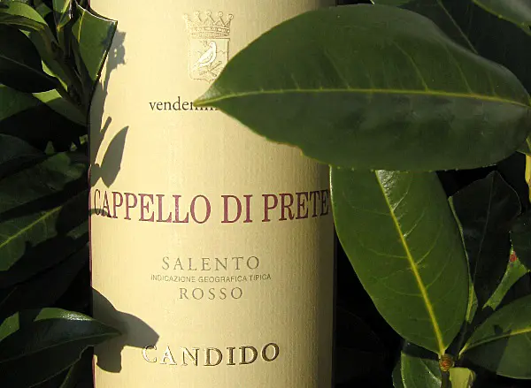 Der Wein zum Schwein: Cappello di Prete - Salento Rosso IGT 2003