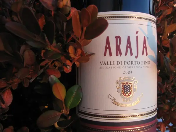 Araja - Valli di Porto Pino 2004