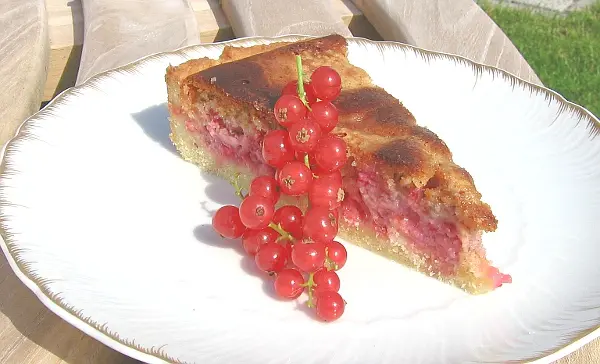 Johannisbeerkuchen